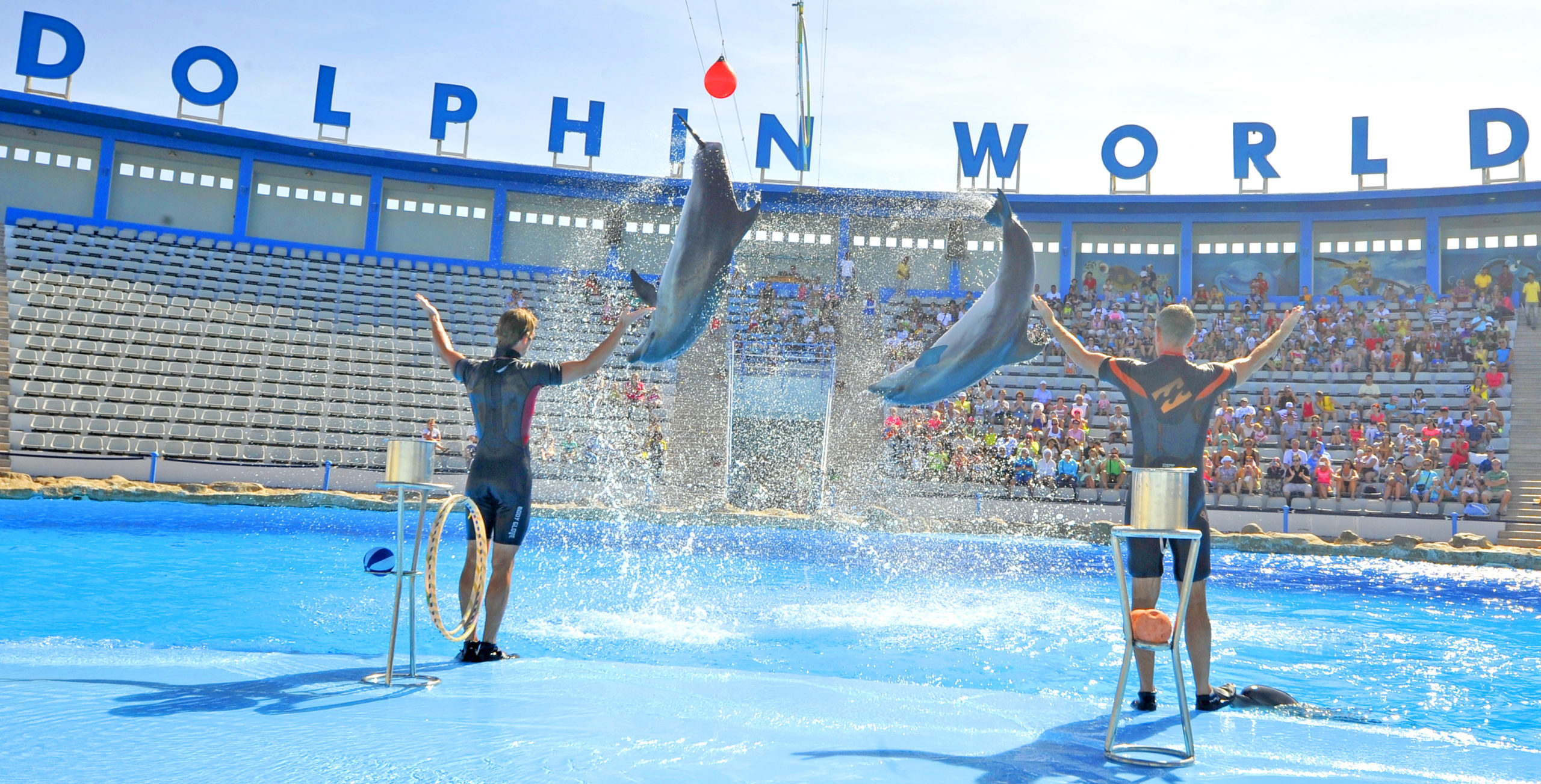 Ausflug zur Delphin Show in Hurghada (4)